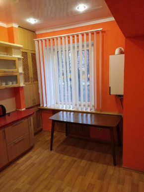 Apartment on Kryvorizhstal Street 35-19, Kryvyi Rih